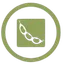 Soja