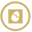 Huevos